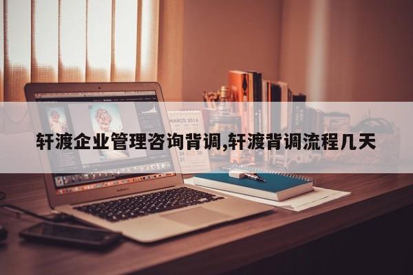 轩渡企业管理咨询背调,轩渡背调流程几天