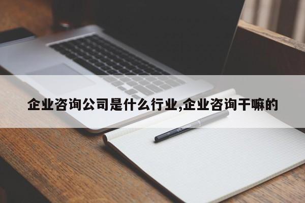 企业咨询公司是什么行业,企业咨询干嘛的