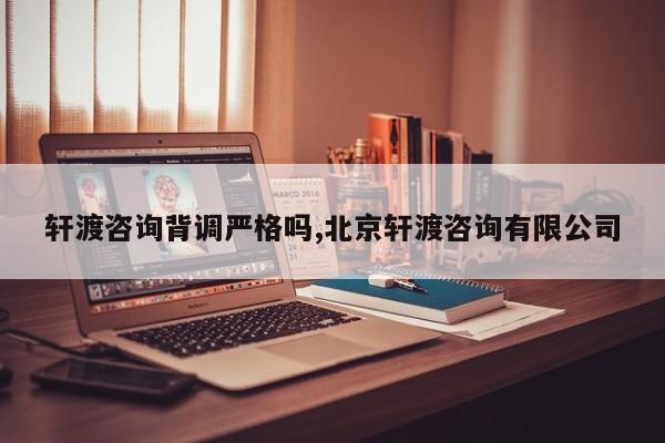 轩渡咨询背调严格吗,北京轩渡咨询有限公司