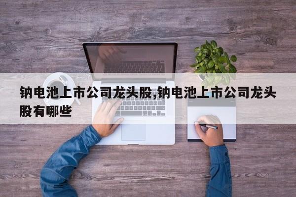 钠电池上市公司龙头股,钠电池上市公司龙头股有哪些