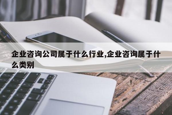 企业咨询公司属于什么行业,企业咨询属于什么类别
