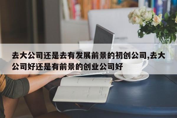 去大公司还是去有发展前景的初创公司,去大公司好还是有前景的创业公司好