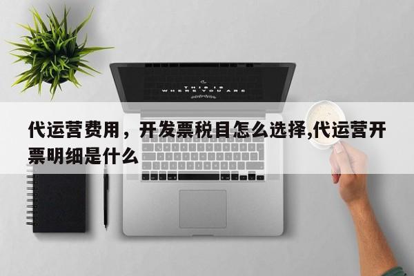 代运营费用，开发票税目怎么选择,代运营开票明细是什么